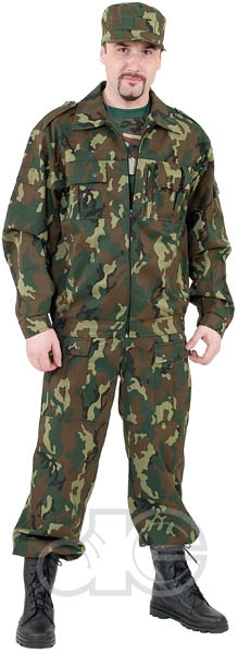 ������ ������